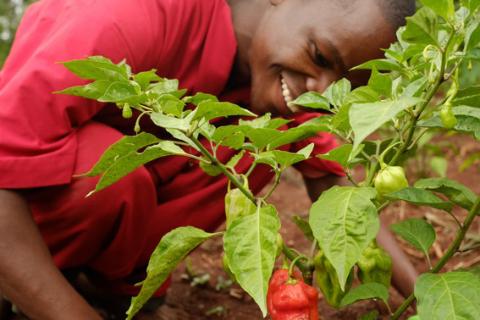 Un futuro de trabajo para la juventud de Uganda