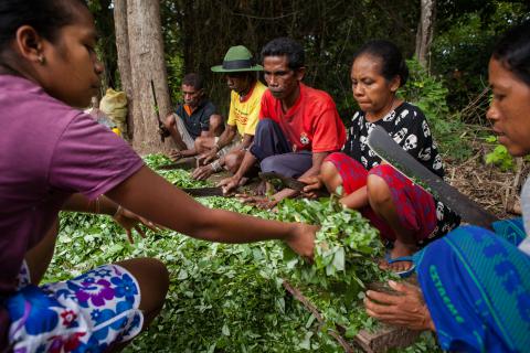 La Asociación de Familias y Mujeres del Medio Rural (Afammer)  se suma al movimiento Por Ser Niña de Plan International