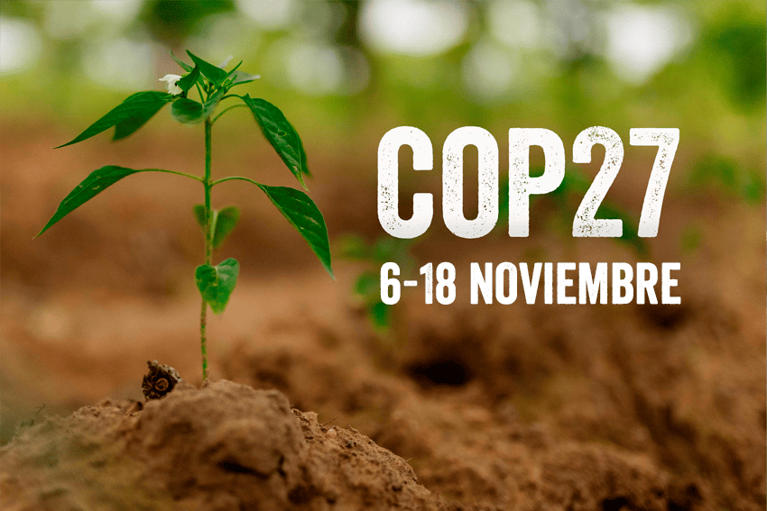 Plan International en la COP27: Las niñas y jóvenes en el centro de la acción climática