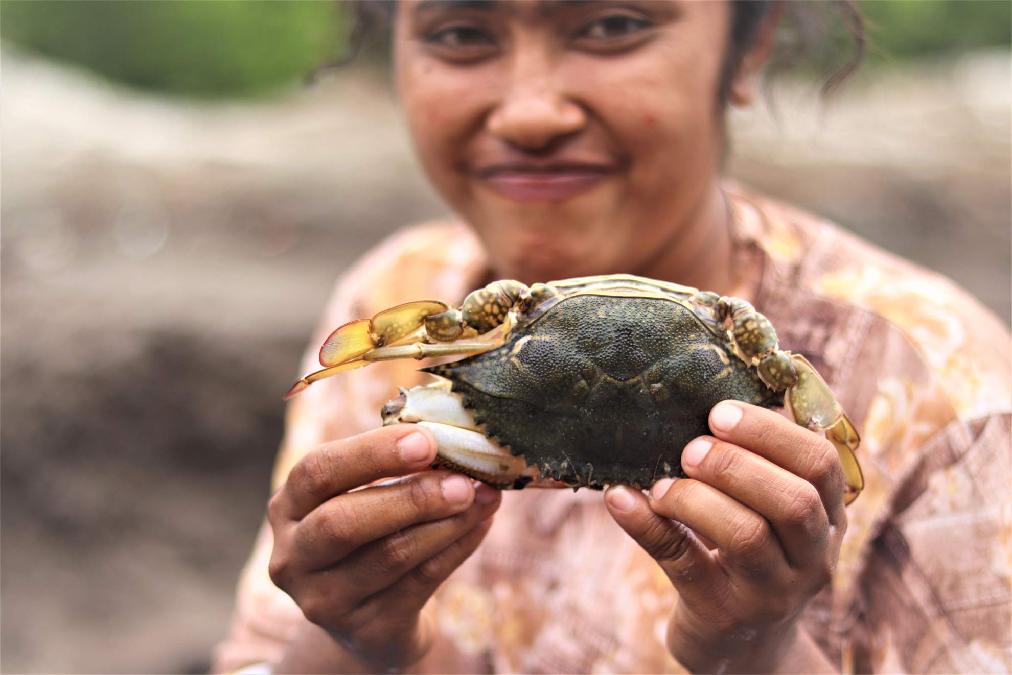 Indonesia: Vender cangrejos en redes sociales, el negocio que ha cambiado la vida de Sulis