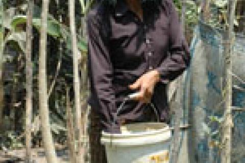 |