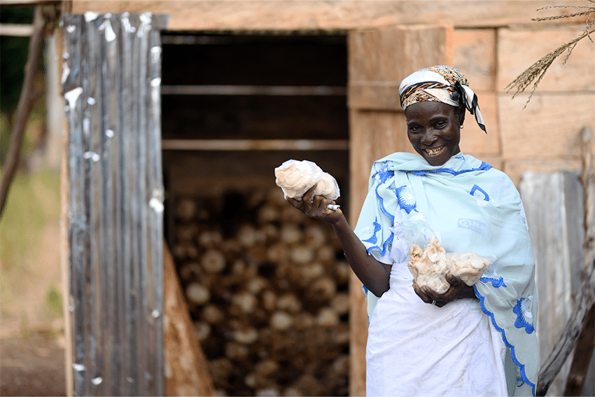 Creando oportunidades para las mujeres en Ghana a través de la agricultura ecológica