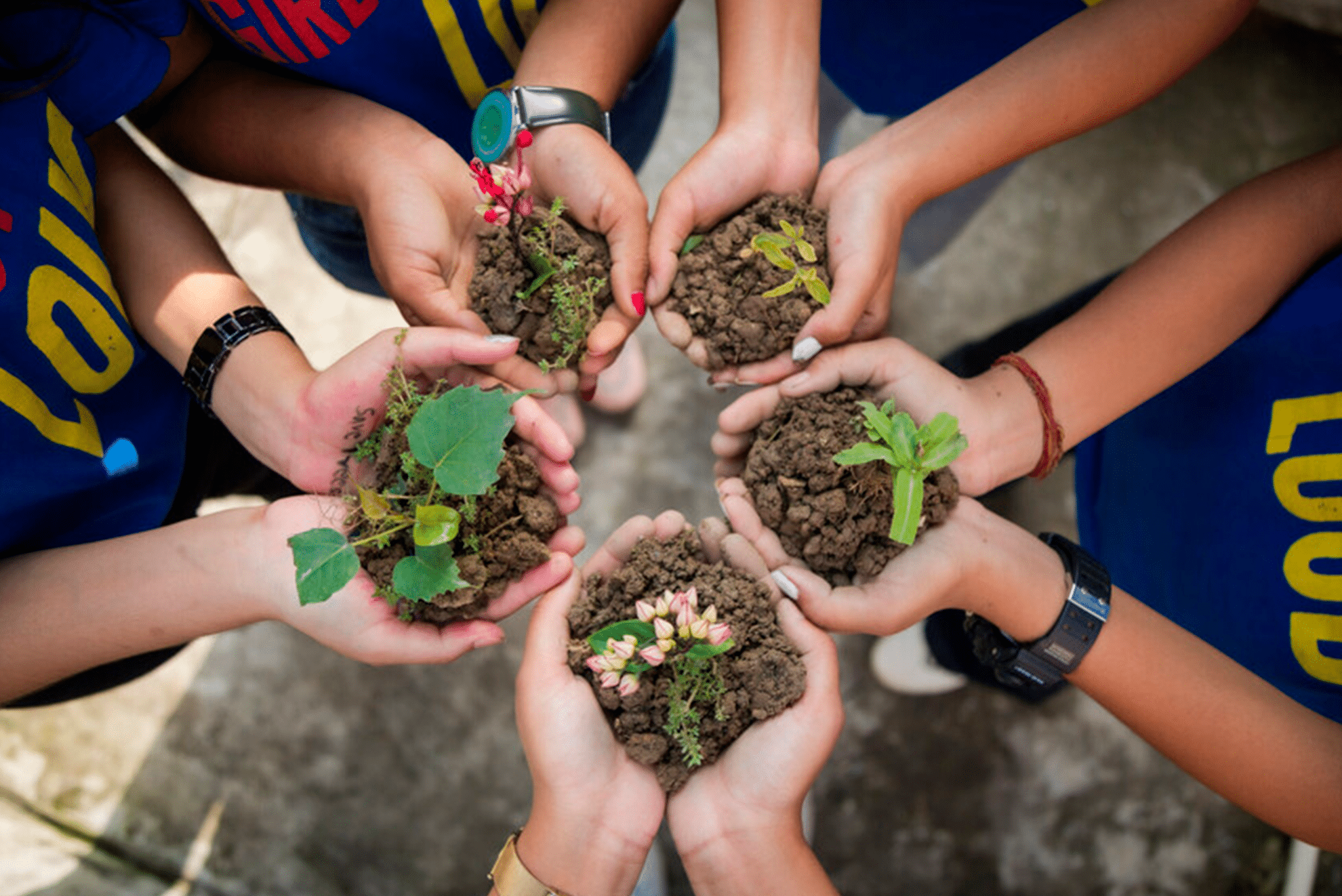 Avances pioneros en la protección de los derechos de la infancia ante la crisis climática