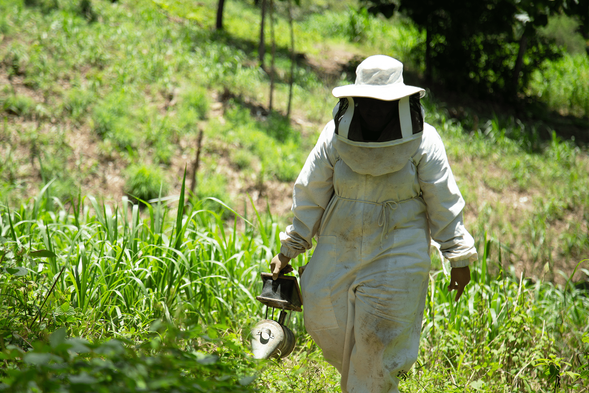 La apicultora que rompe las barreras de género en El Salvador    