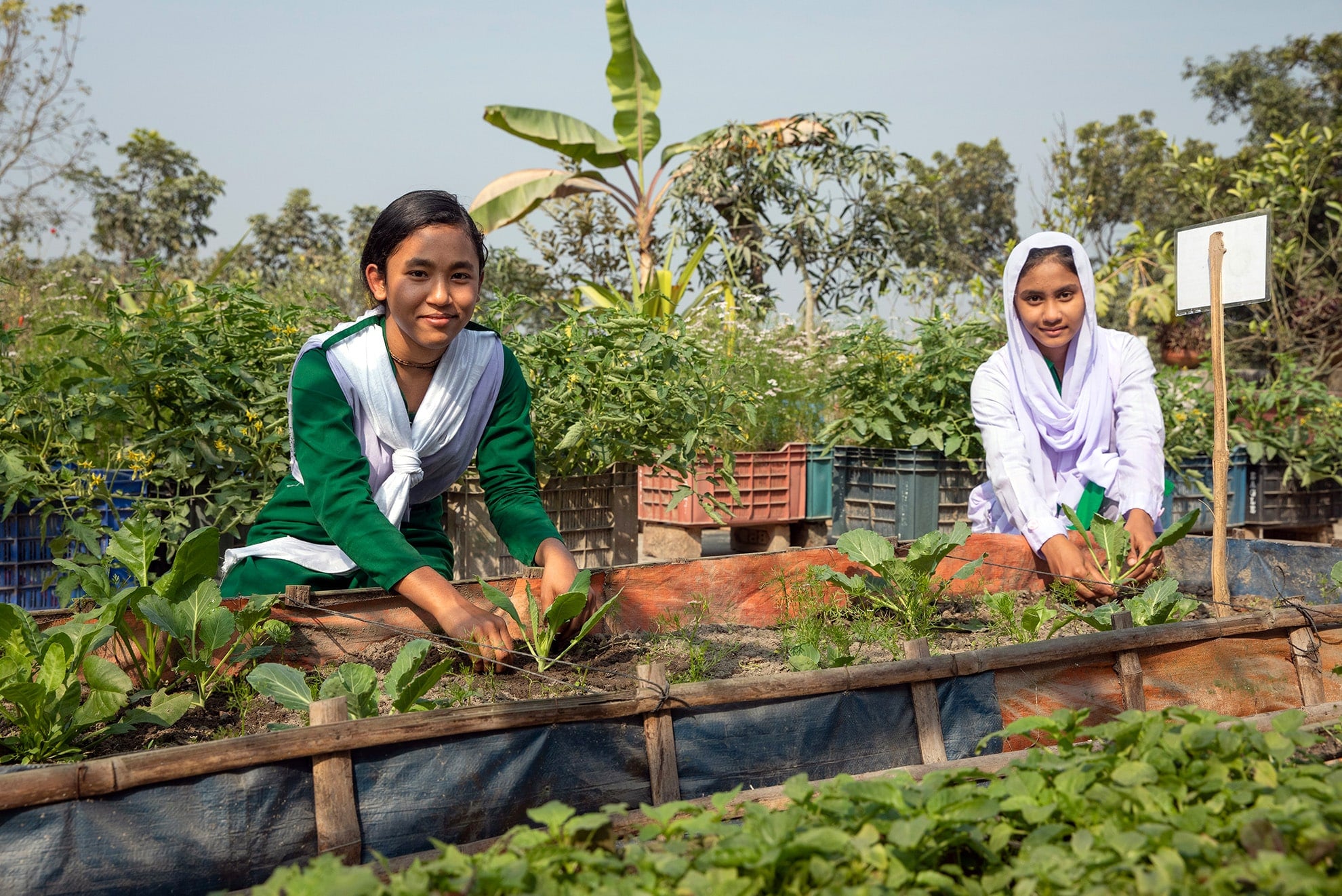 Cómo un jardín escolar transforma vidas en Bangladesh