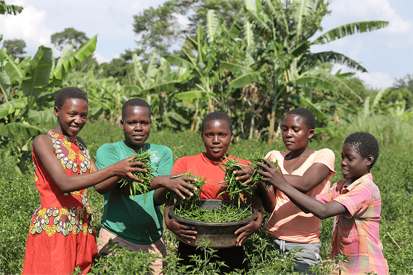 Apoyamos a las comunidades más afectadas por el cambio climático a través del desarrollo de habilidades verdes para mujeres en África